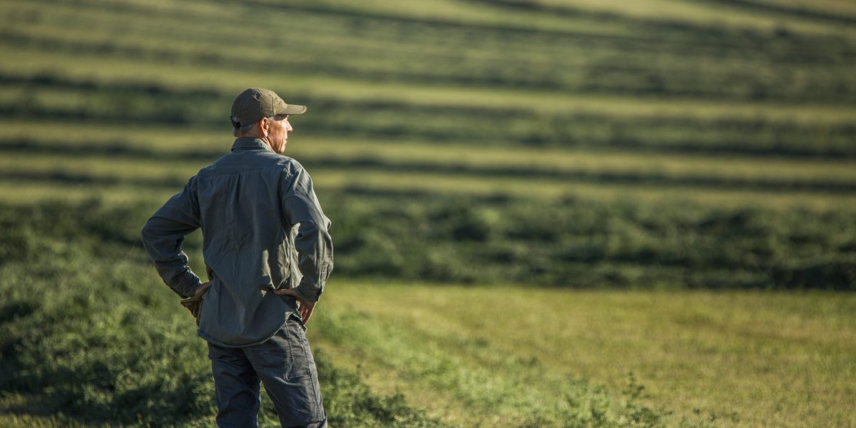 Farm bankruptcies rise as crop prices plummet; Trump mulls $14 billion bailout