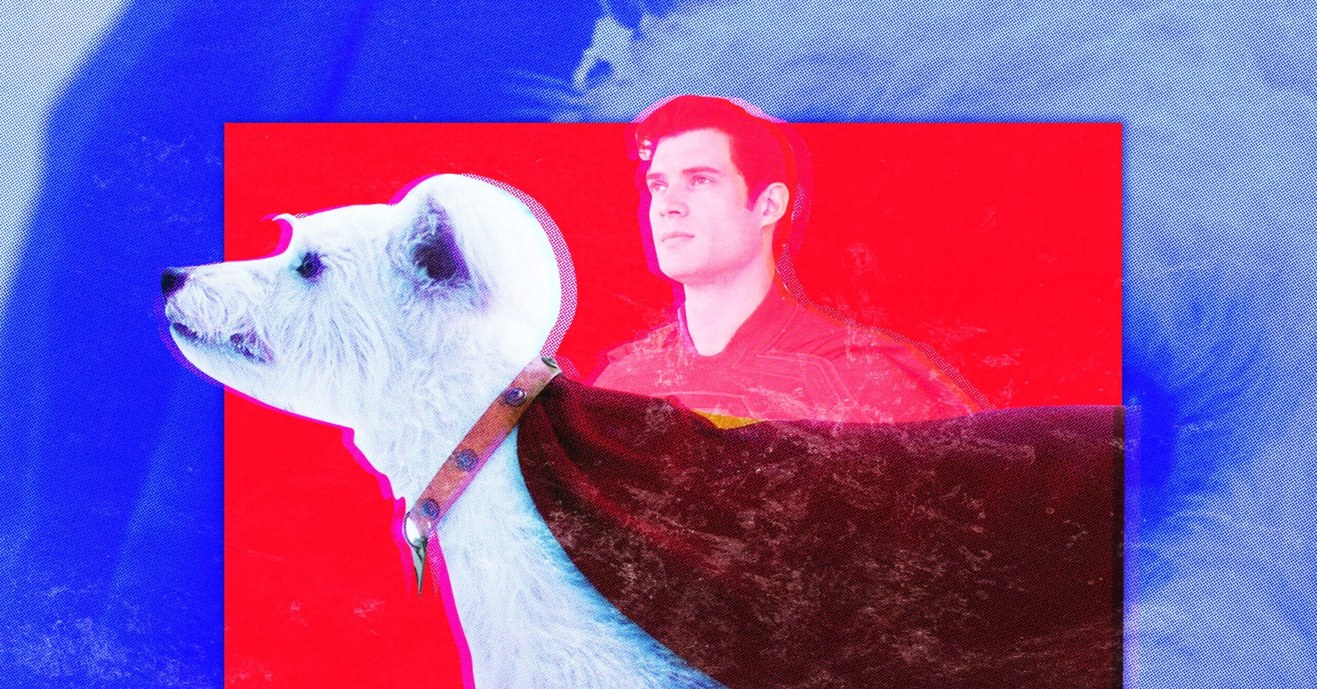 Krypto the Superdog: lovable hero or chaotic troublemaker? You decide!