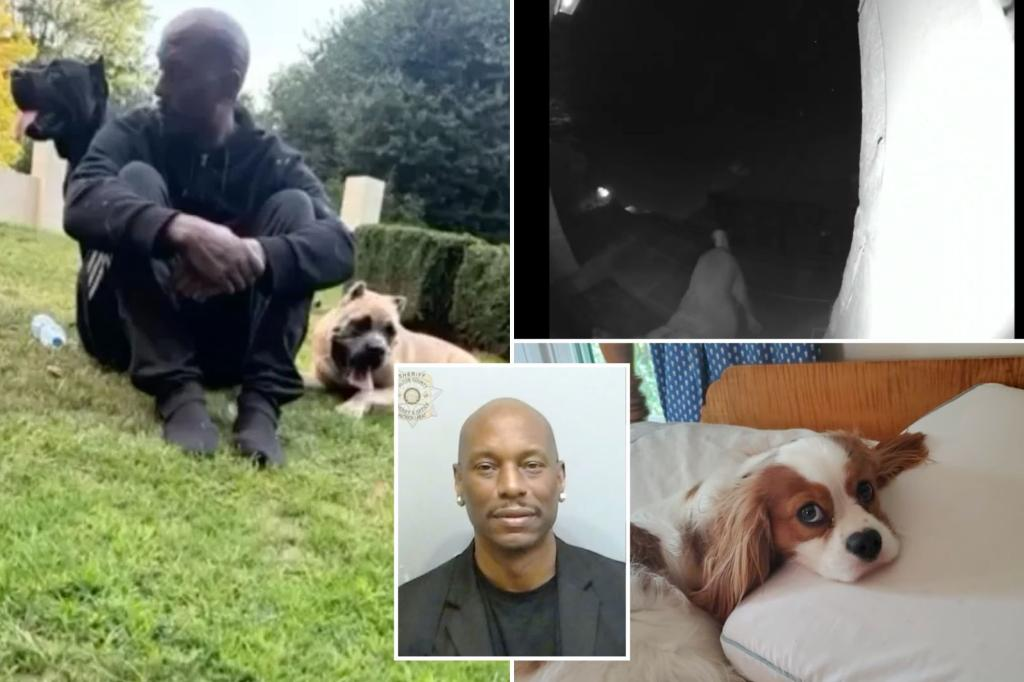 Tyrese Gibson arrested after his dogs fatally attacked a neighbor's pet in Georgia